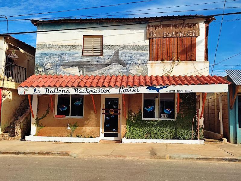 Hostel La Ballena Backpacker Las Galeras Exterior foto